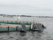 漁排風光互補發電系統